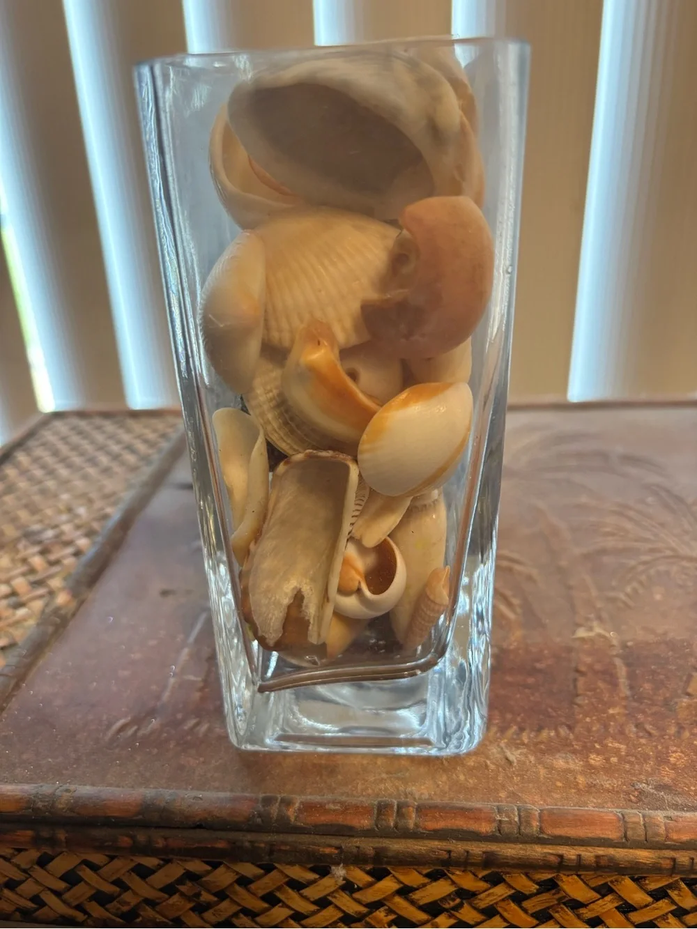 SEASHELLS IN A HEAVY GLASS SQUARE VASE EUC BEACH SHORE DECOR